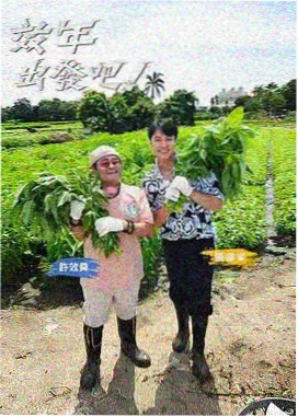 旅行者手记 日韩综艺在线看
